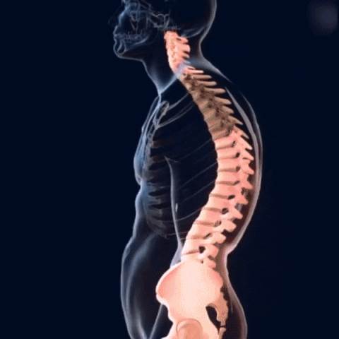 Corrector postural ProAlign™ uso diario cómodo